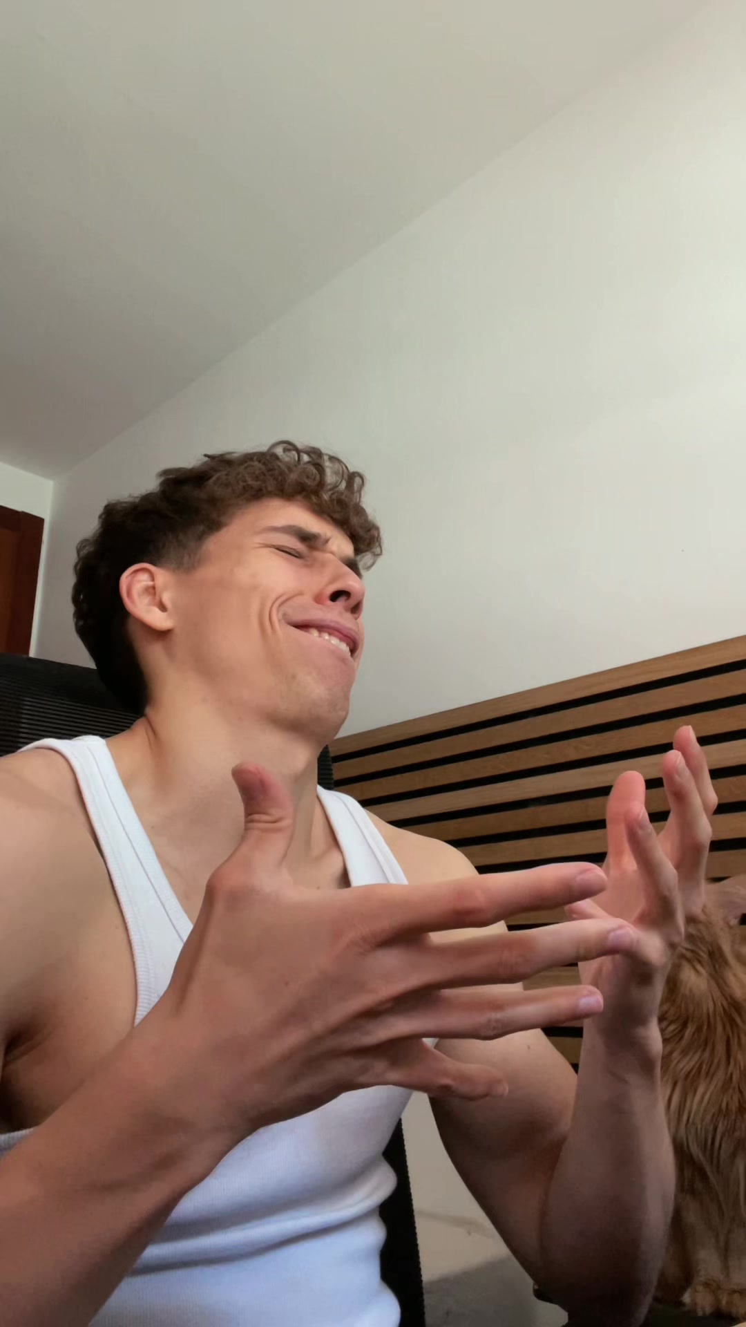 @DanoMC