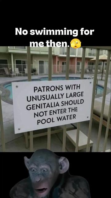 @The Ferret