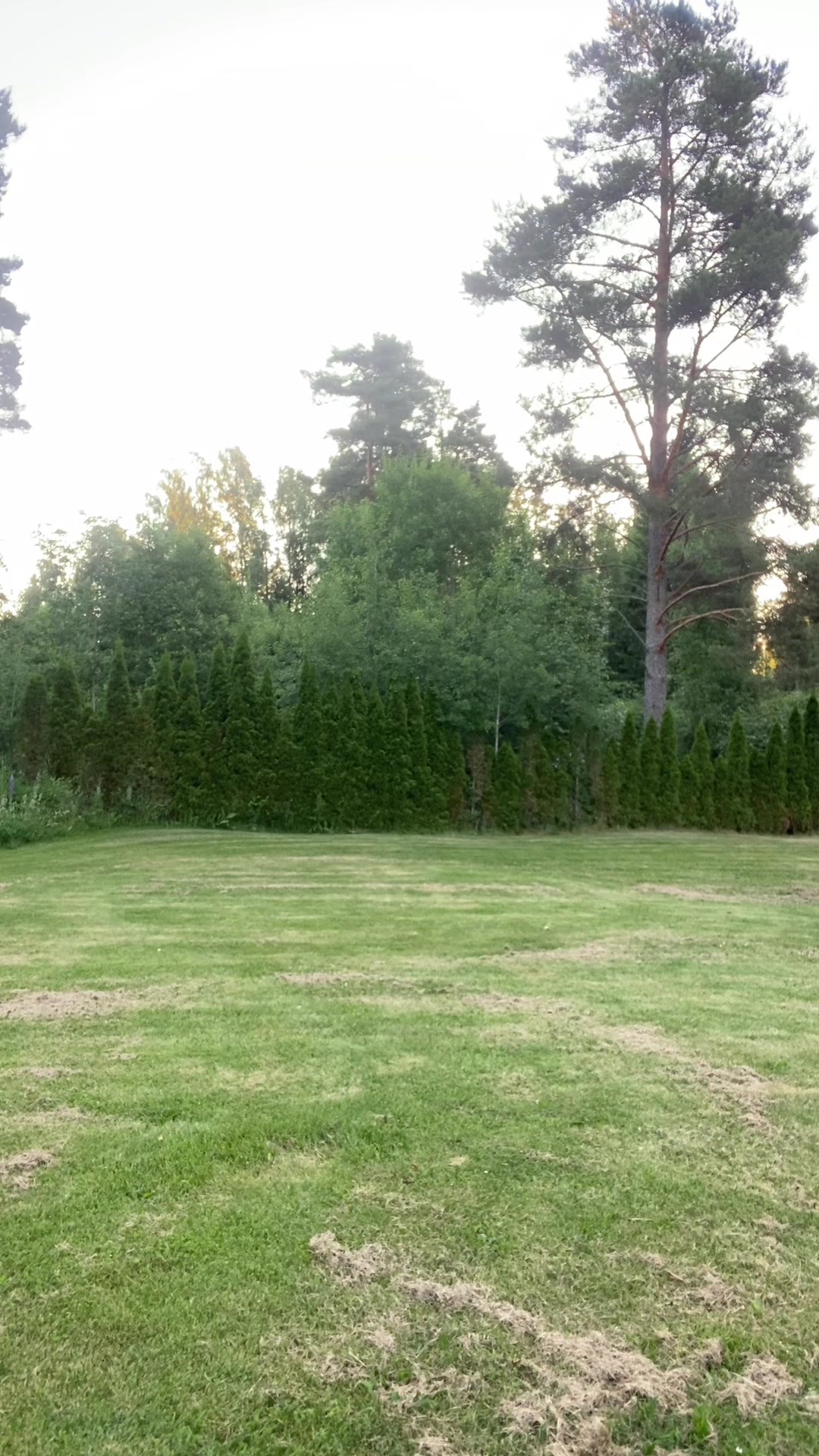 @Gundemar