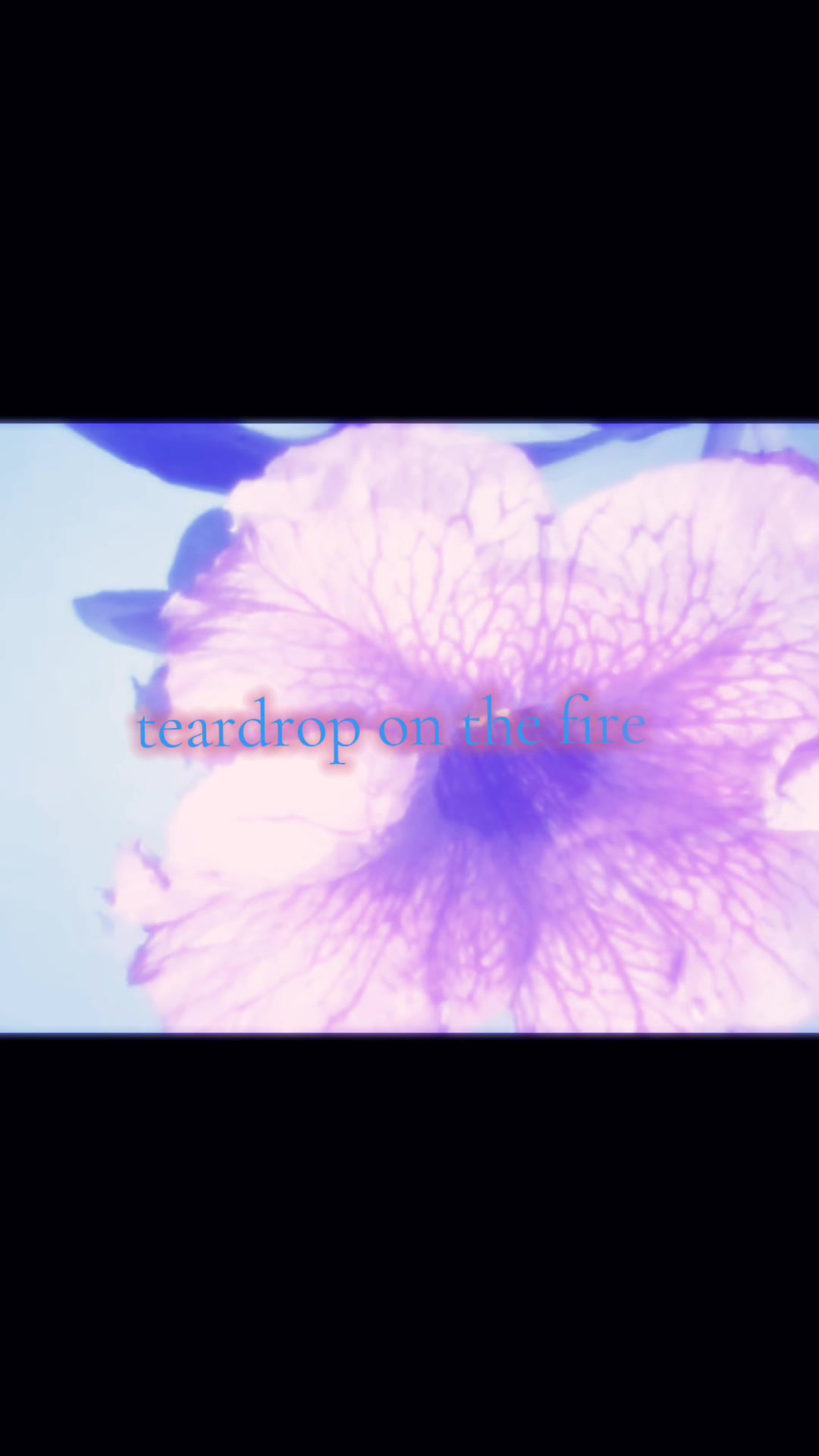 @&middot;༻❀ megan ❀༺&middot;