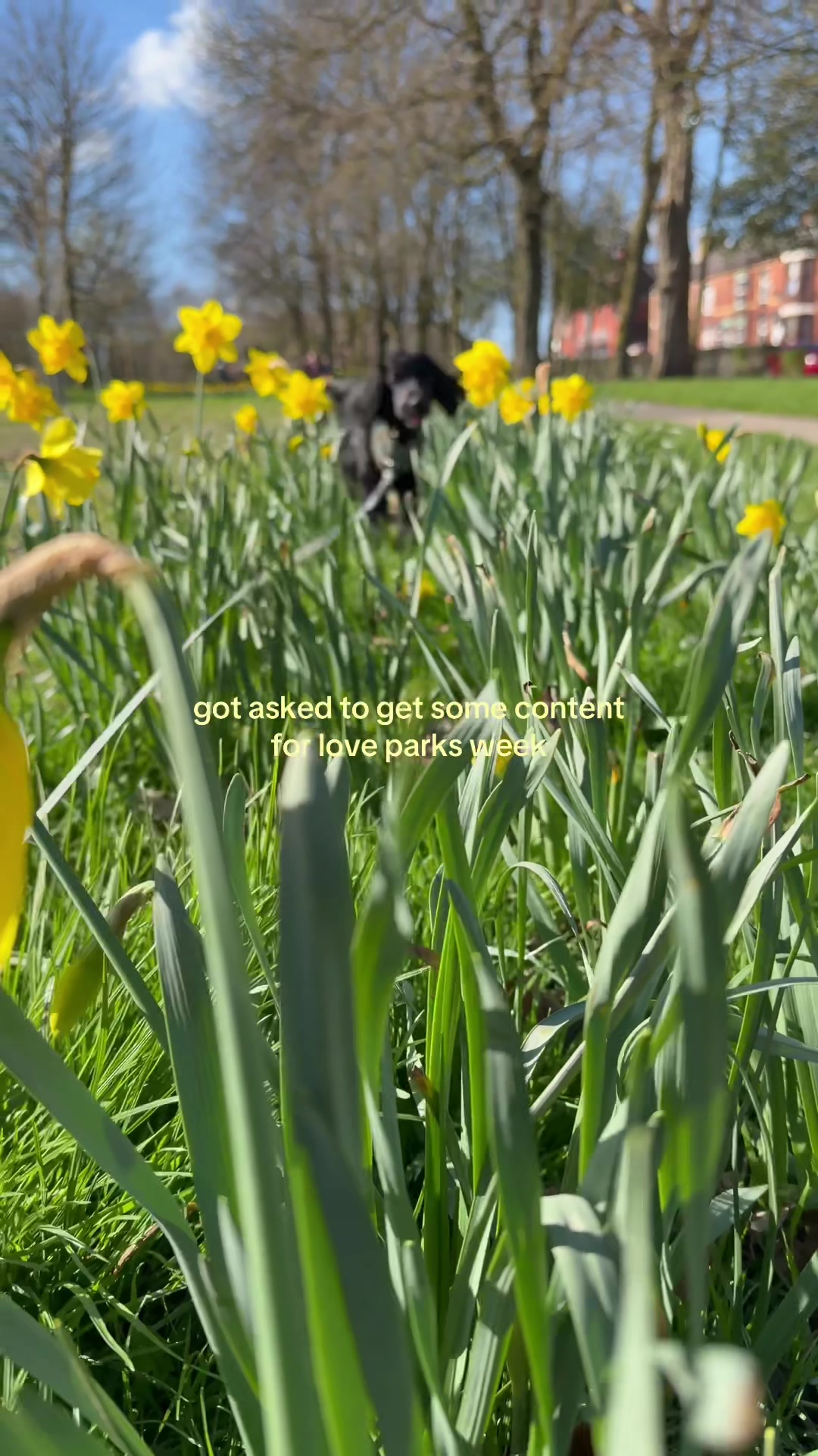 @St Helens Borough Council