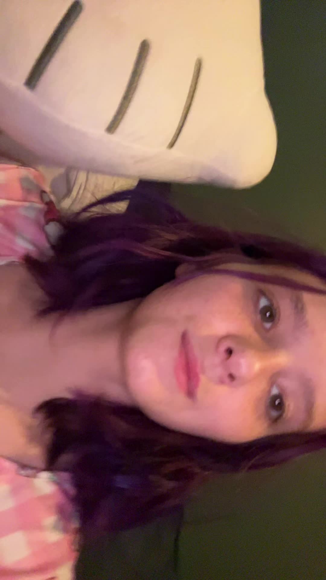 @_jamielee_angel_pet_