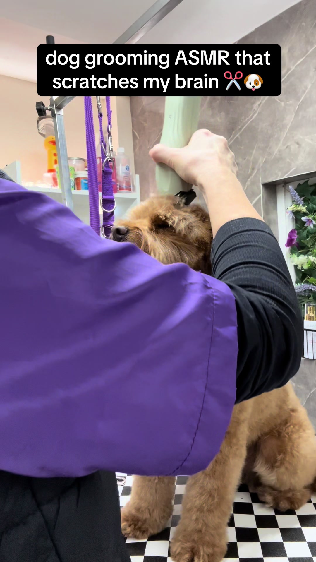 @Poochiepoosdoggrooming