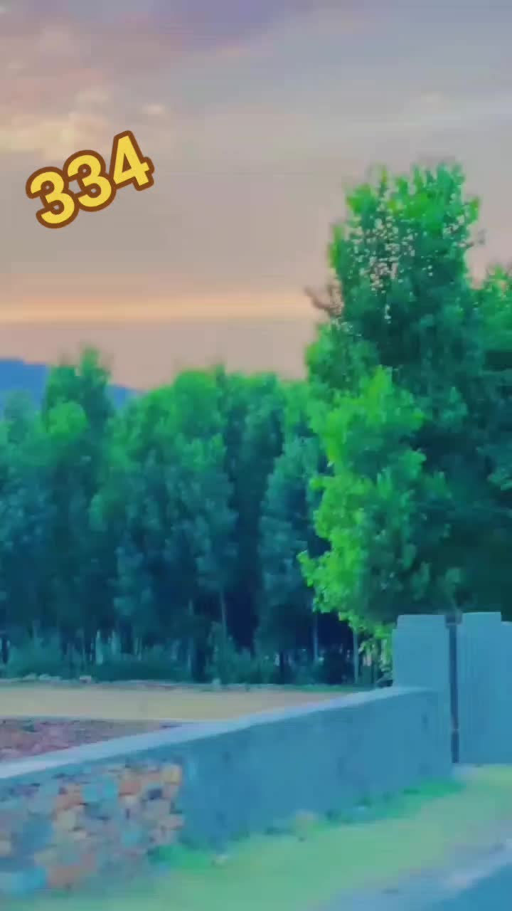 @INزAR. Gul::334🫶