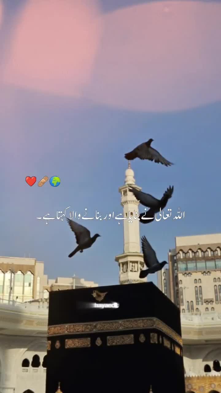@✨Islam✨