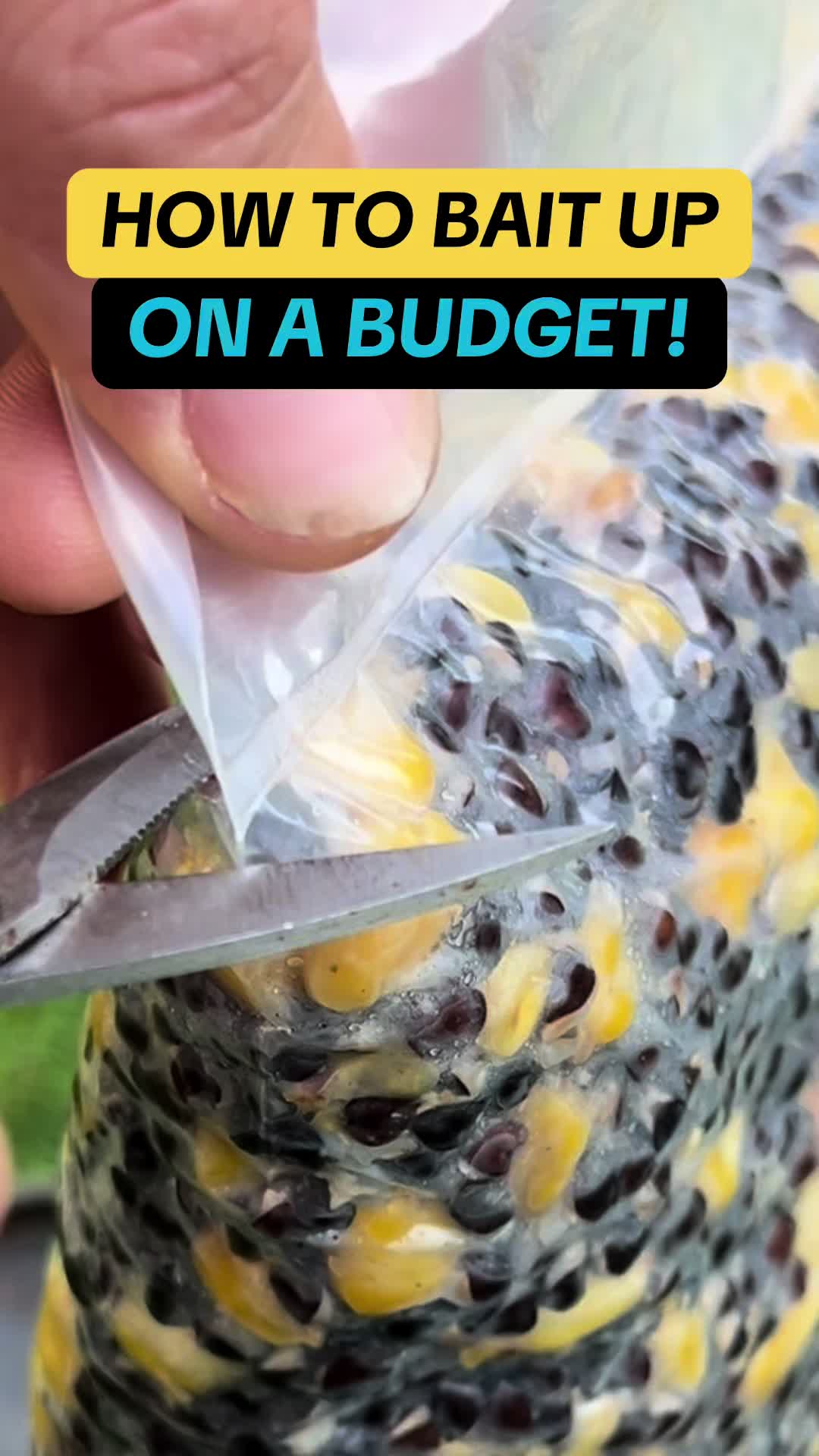 @CarpAddict