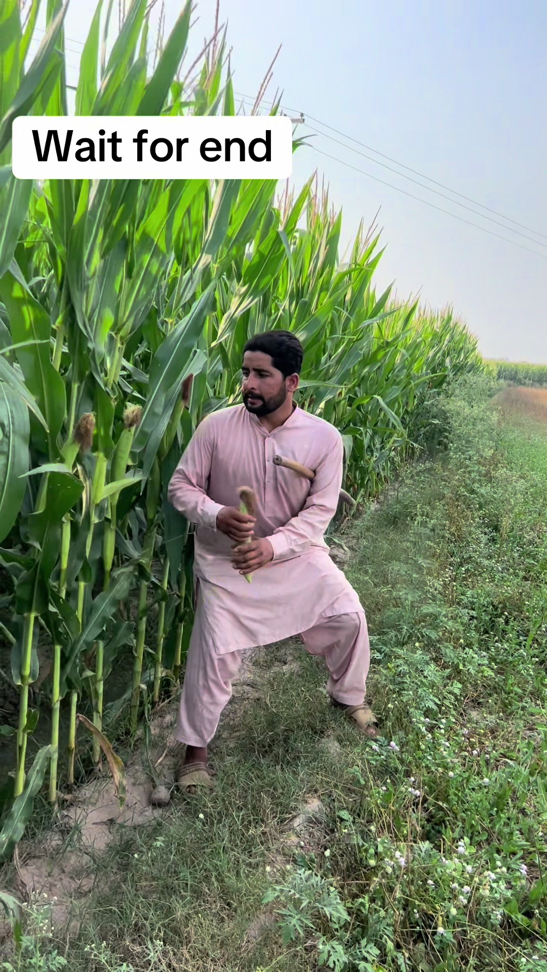 @پینڈو بوائز 378