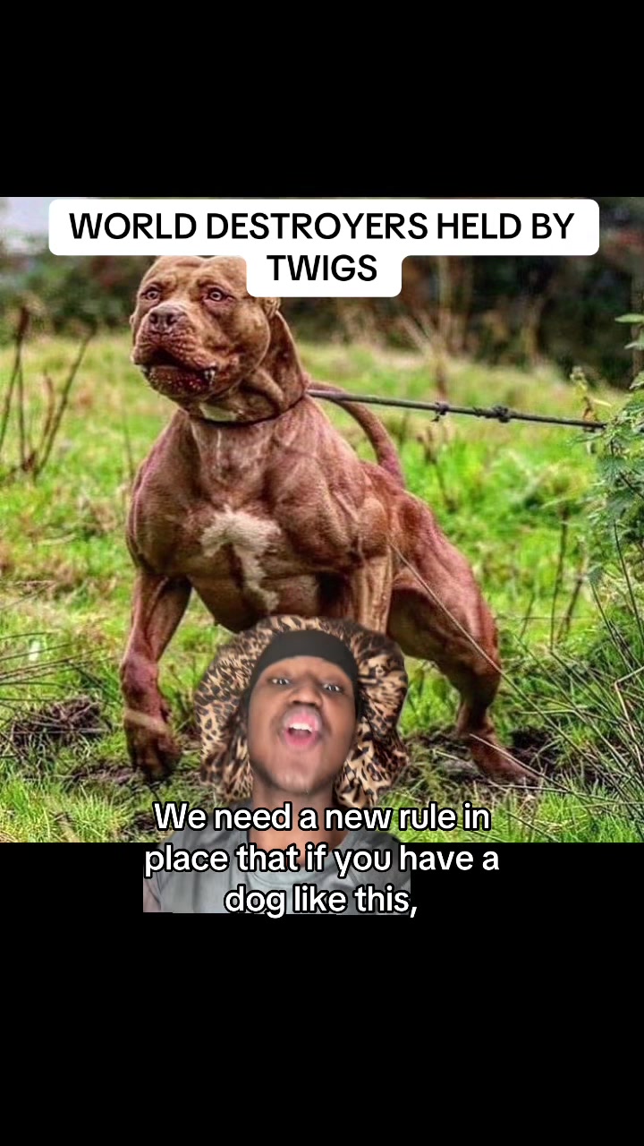@Kingz