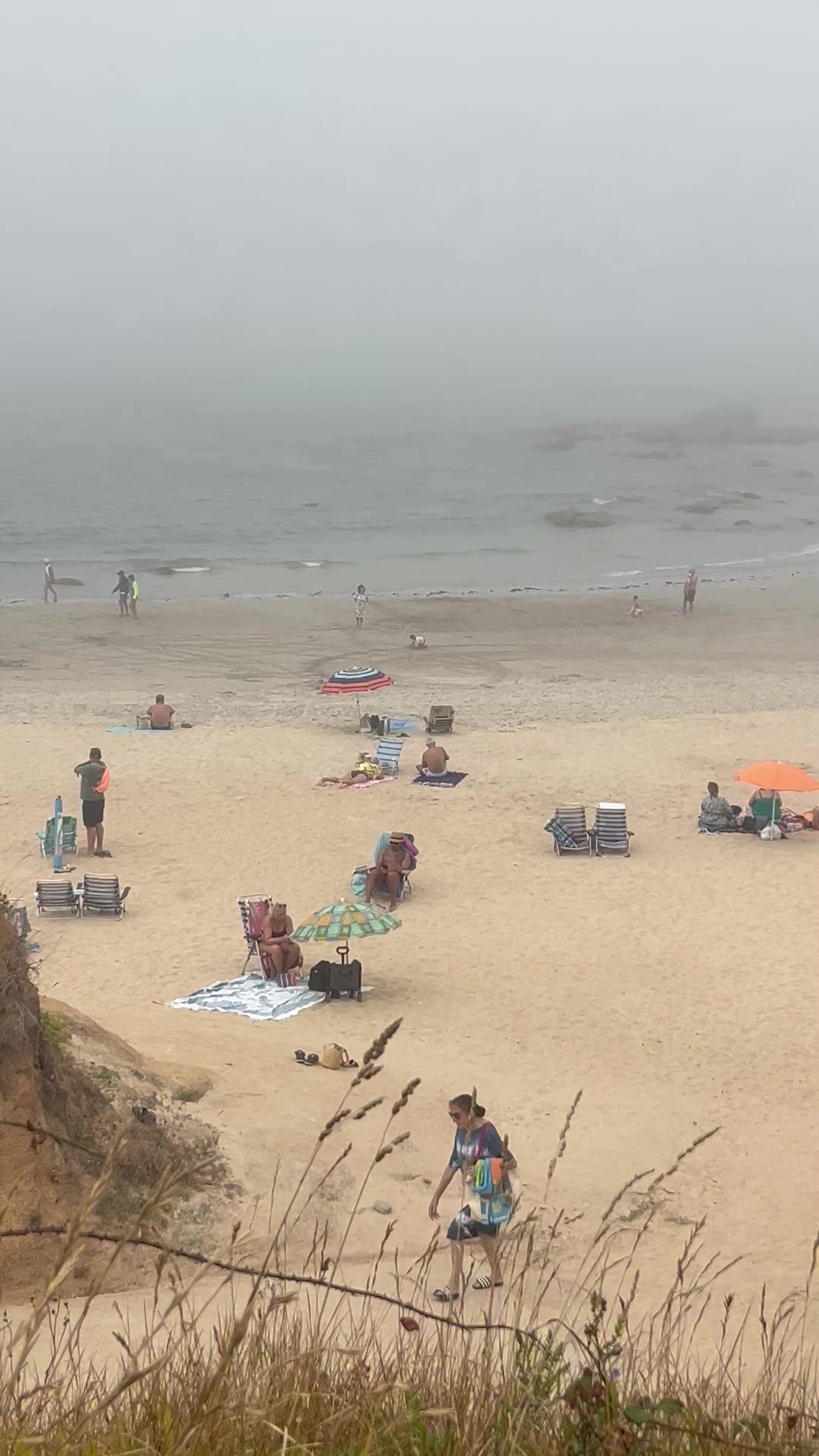 @Ester_verde