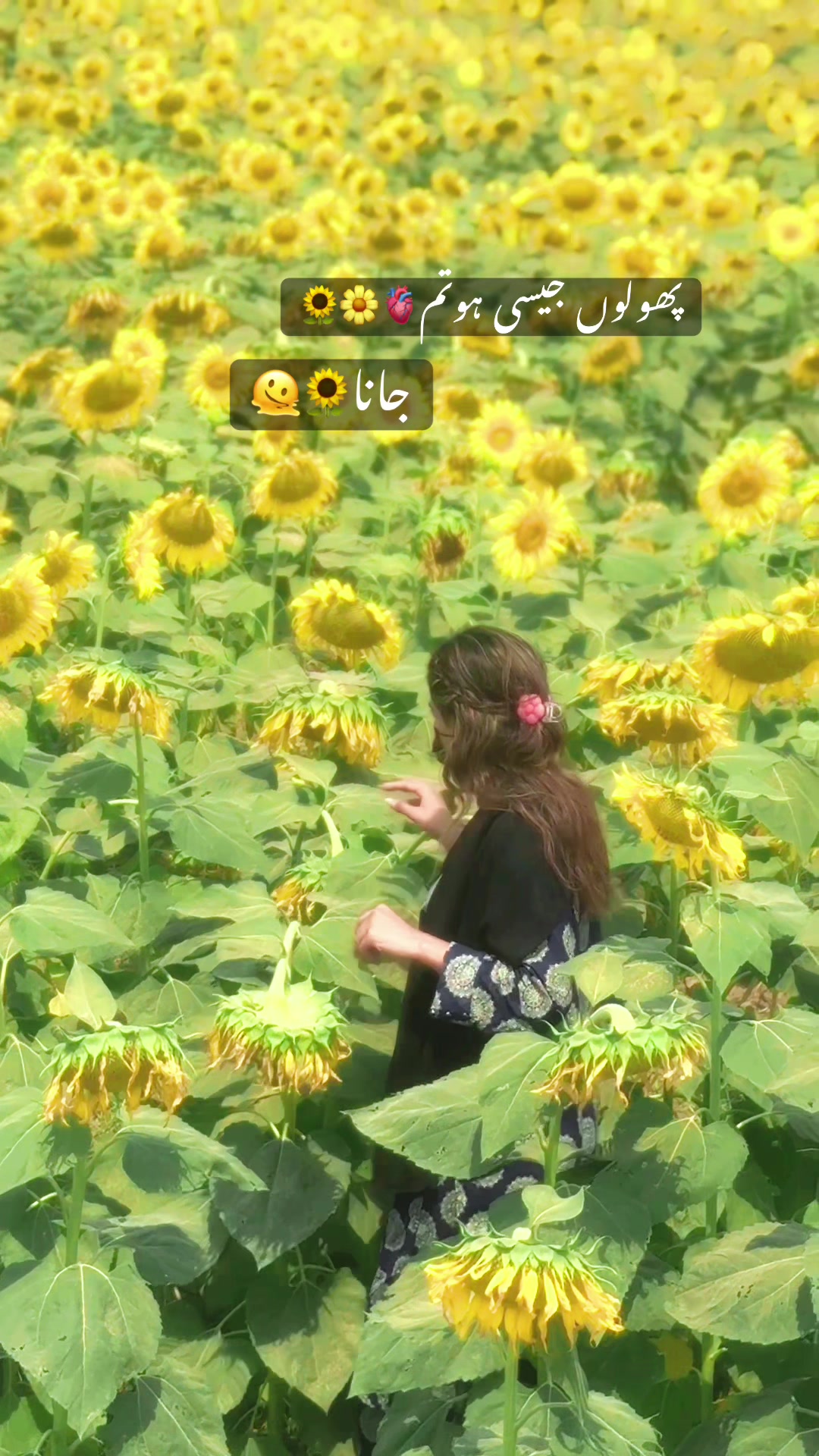 @𝐀𝐬𝐡𝐔uu🎀🧸