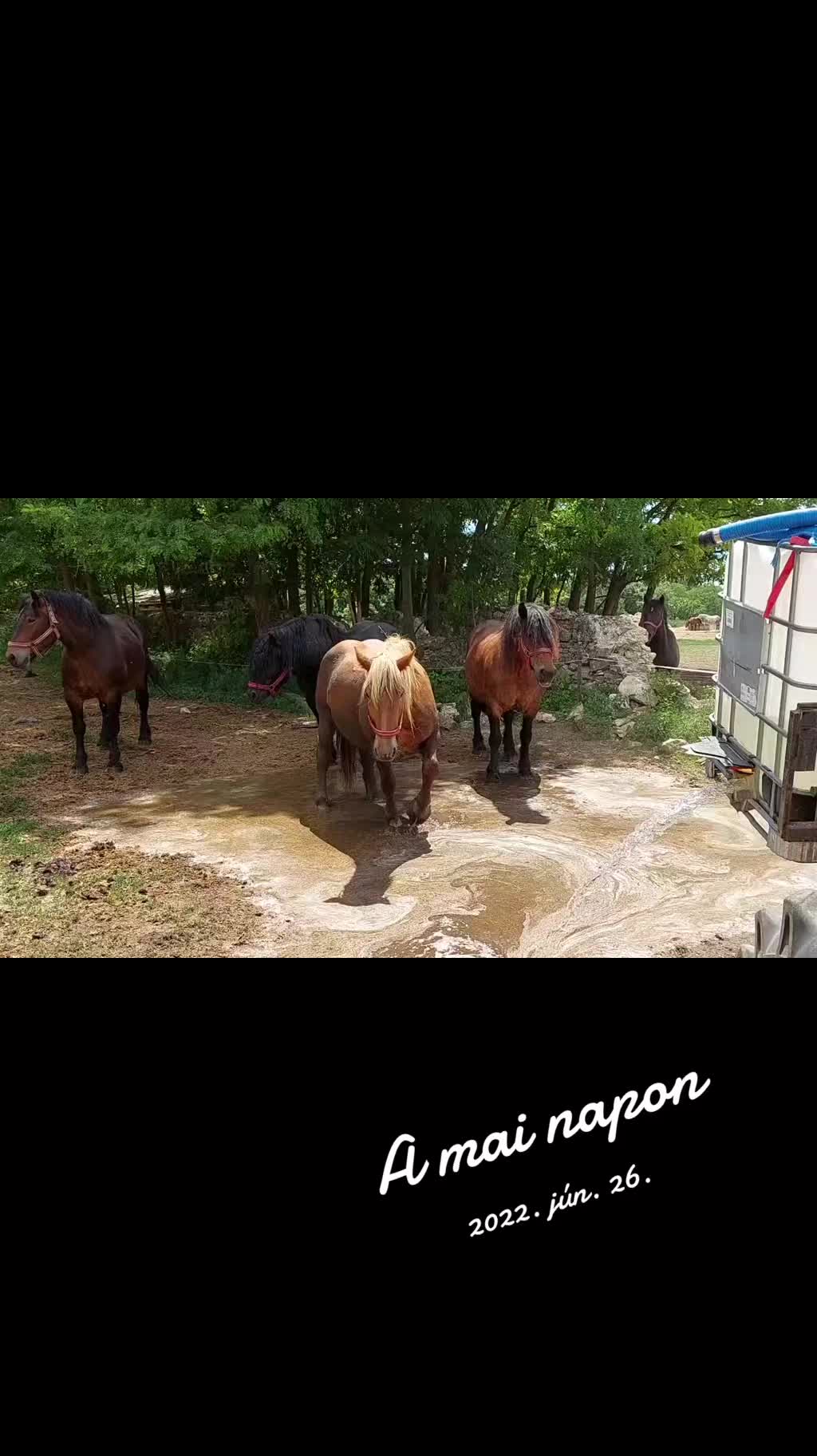 @krizsi1981.