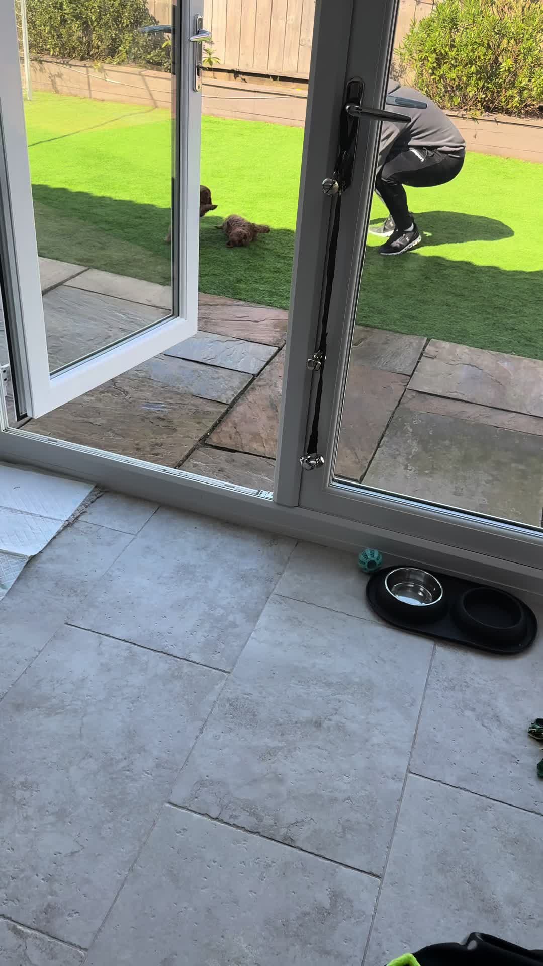 @entityf1