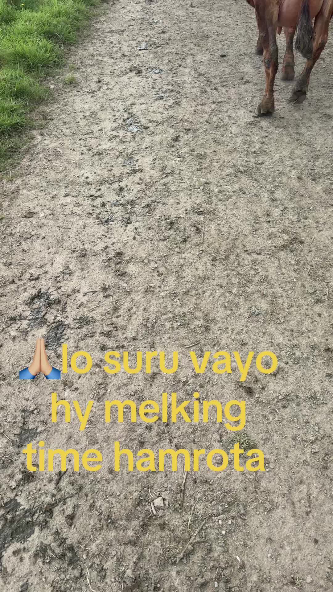 @Arjunkarki🇳🇵🙏🏼❤️🇮🇪🇮🇪