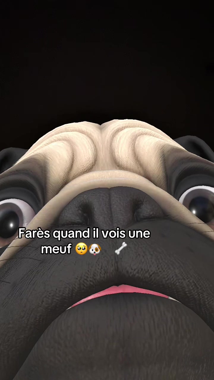 @anti._.fares