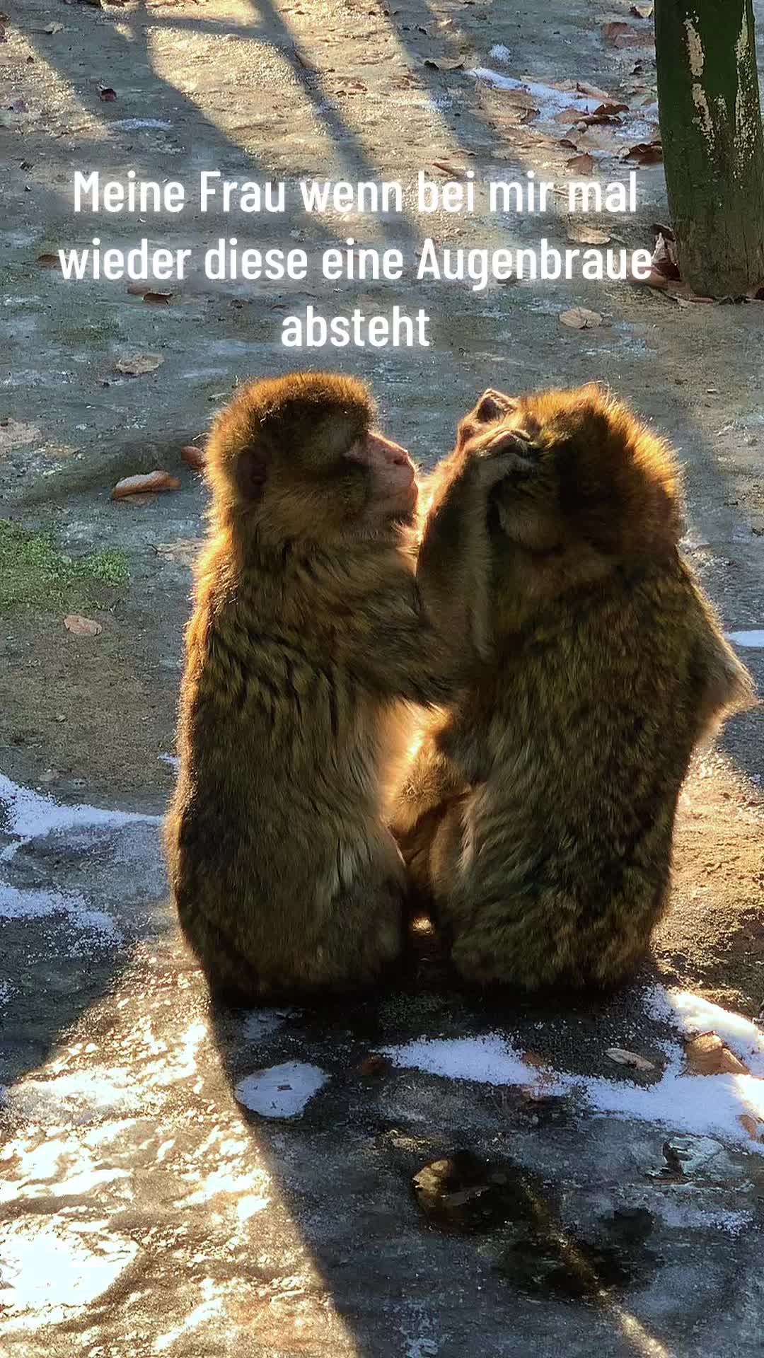 @Der Notfallsanit&auml;ter