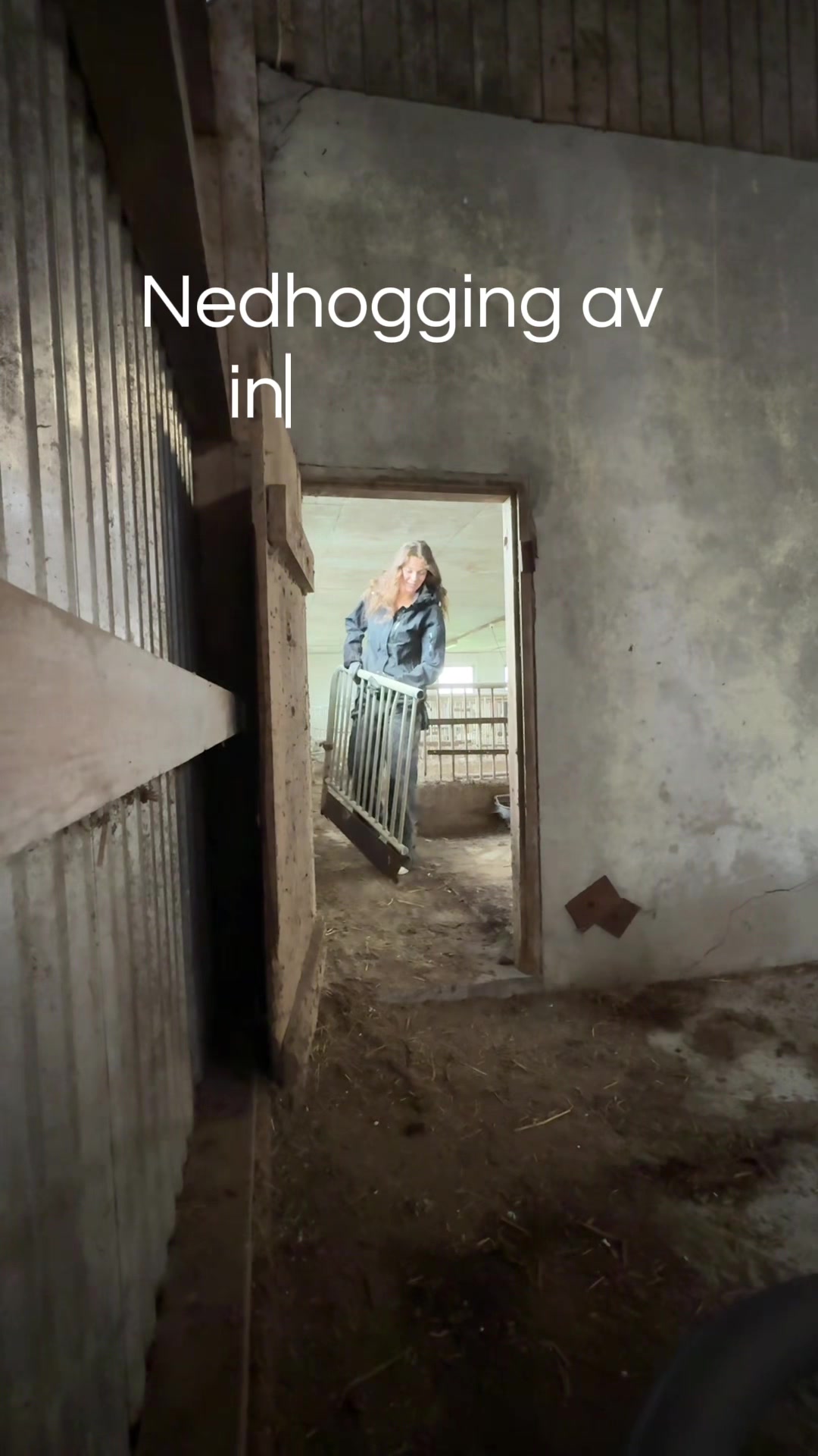 @Bjørg Risa