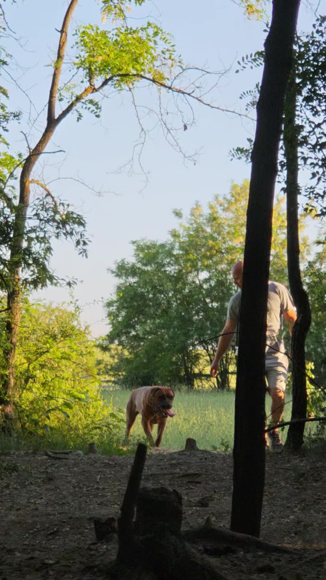 @Spirit of Asia Kennel