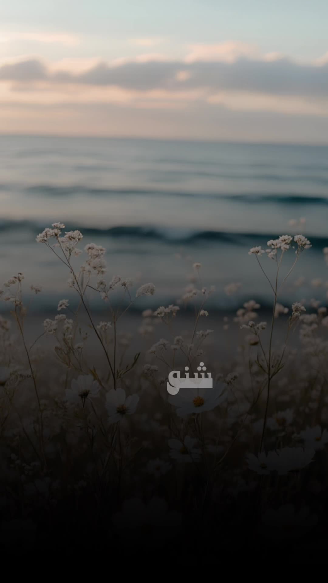 @ستوريات 🎶