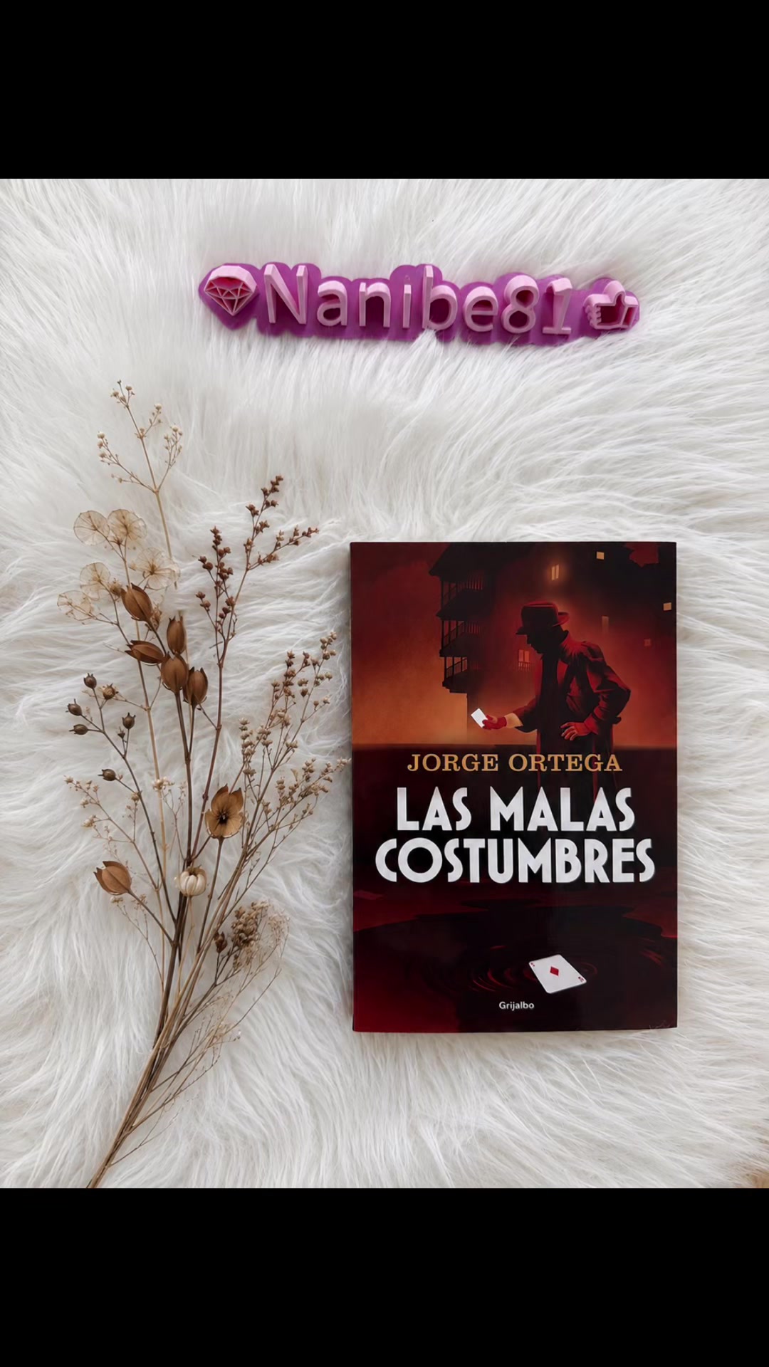 @Nani Becerra📚💎