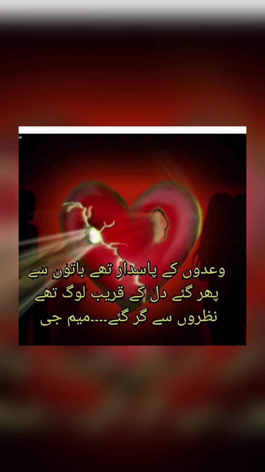 @🌹MeEm jEe SHeIkH میم جی 🌹Uk