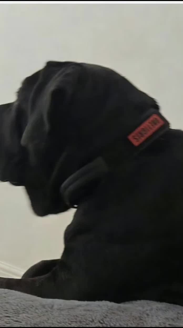 @limp