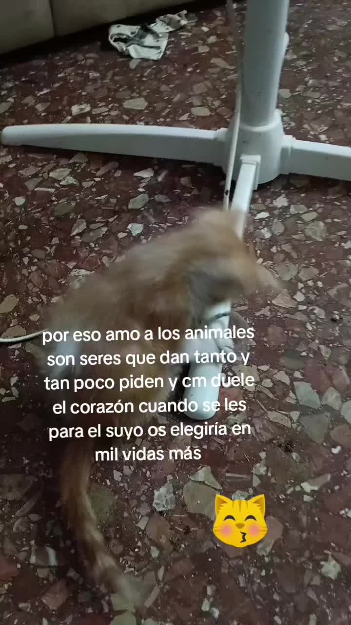 @Vero Jimenez Ferrer