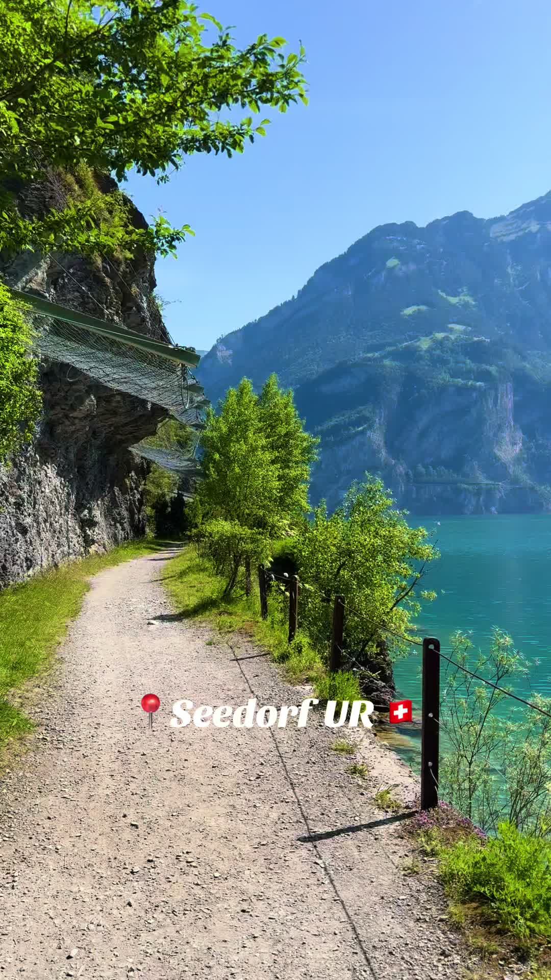 @swiss_alps