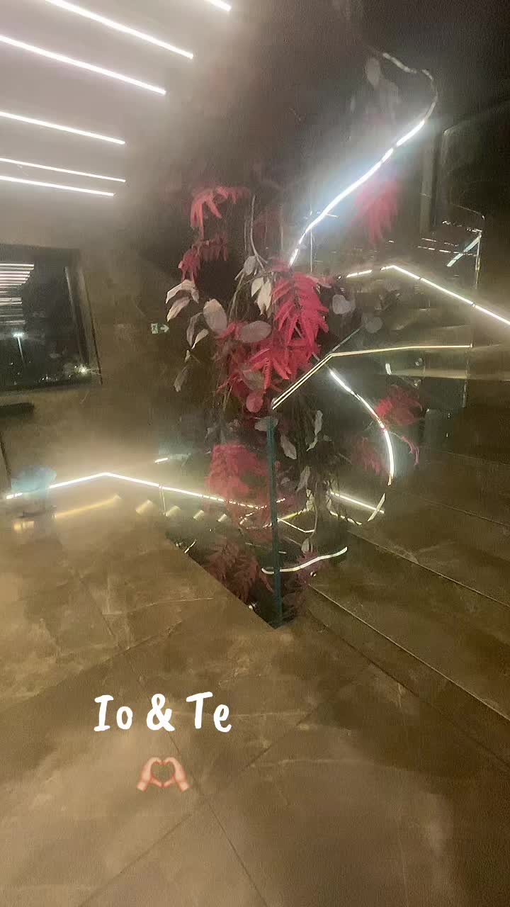 @𝑻𝒊𝒓𝒔𝒂 🌻🦋