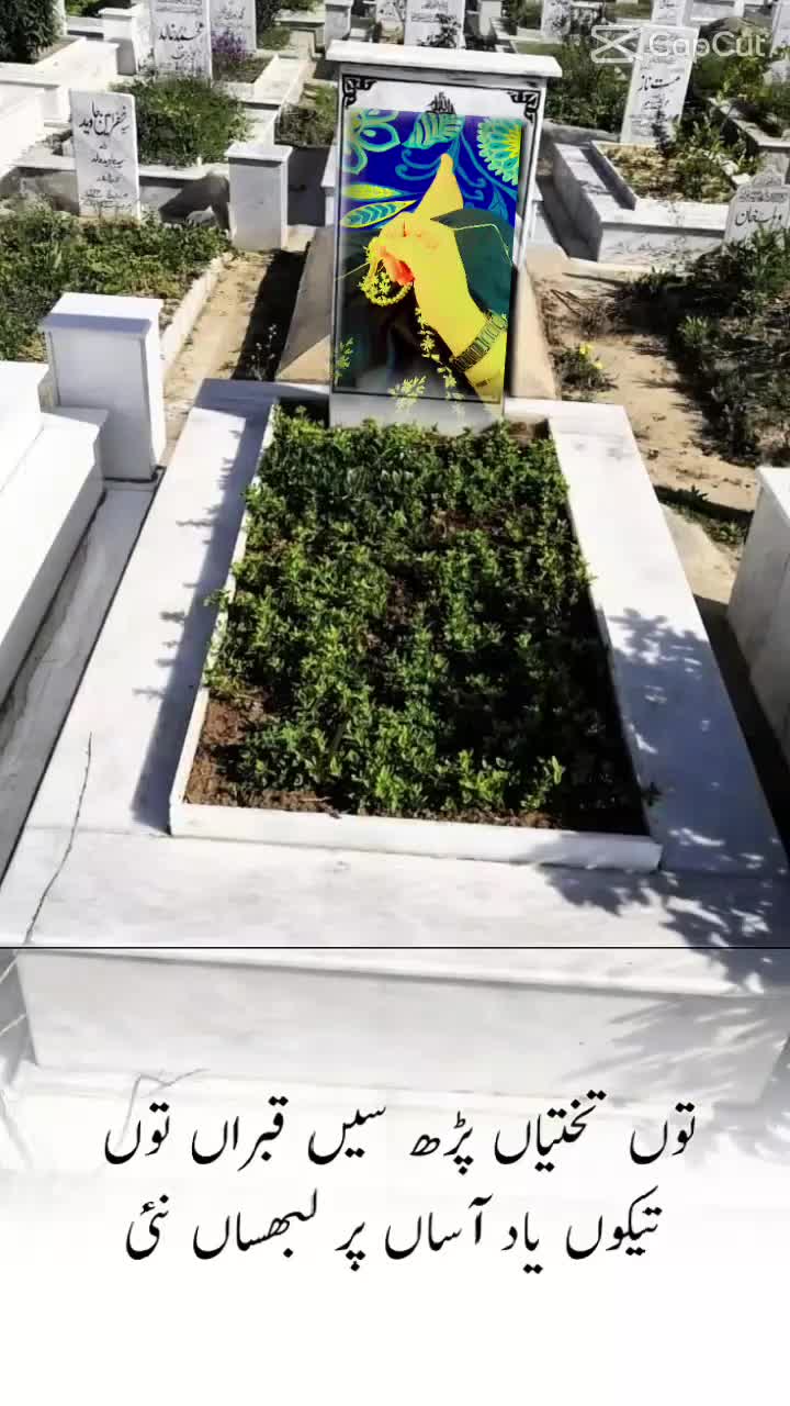 @foji ki jan hon ♥️❣️❣️❤️