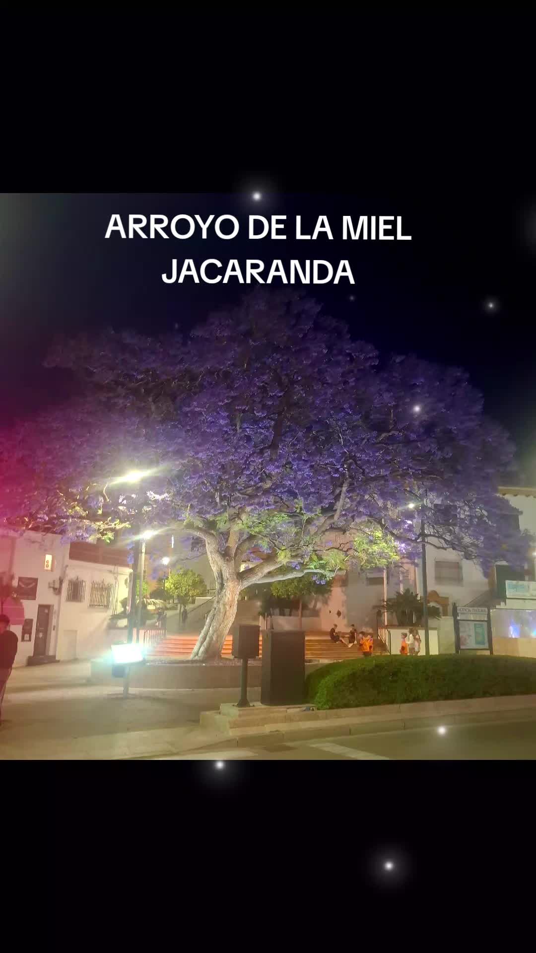 @Lita Gómez Padilla