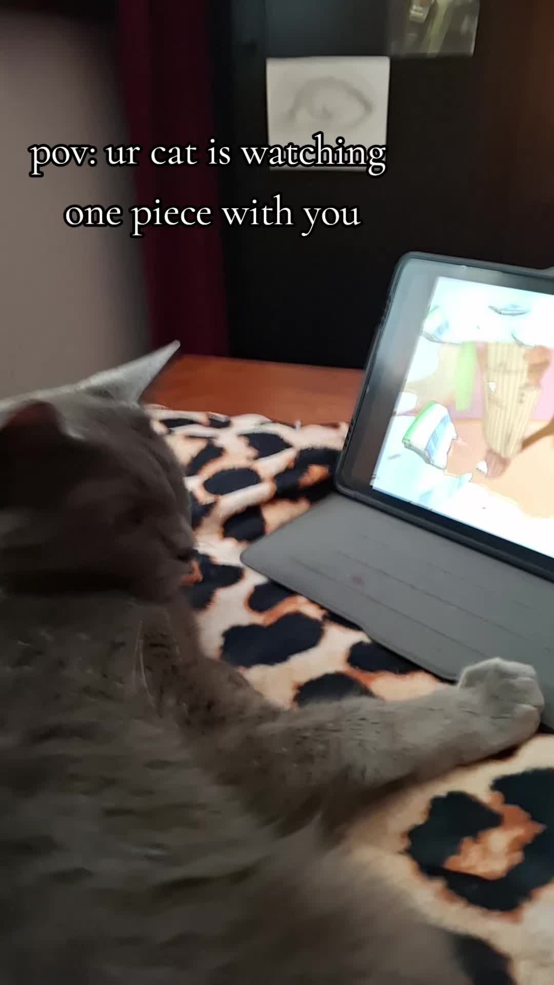 @⋆˚☆˖°⋆。° ✮˖ ࣪ ⊹⋆.˚