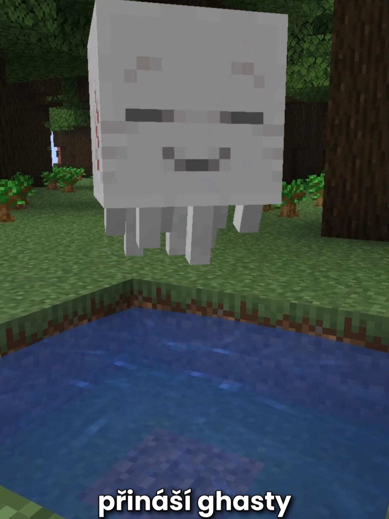 @FenixCraft