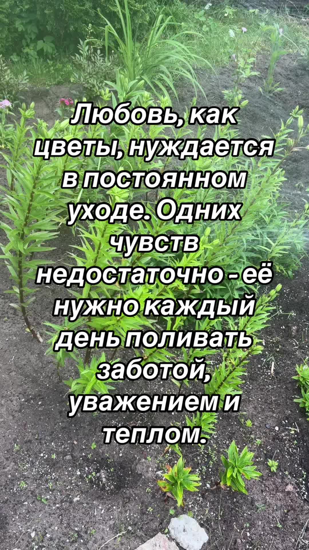 @Laura4444444