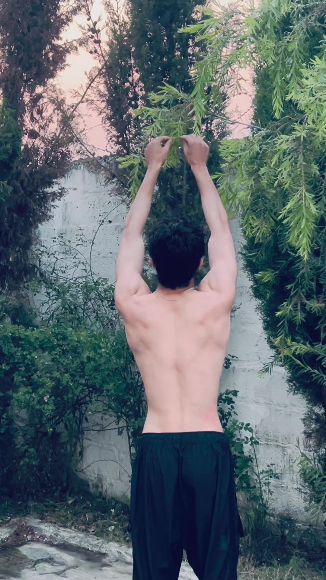 @Wasif physiques🔥