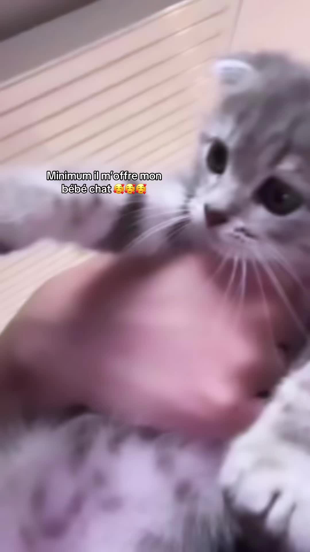 @๐.๐๐พ๐๐๐ถ๐ดโ ๏ธ