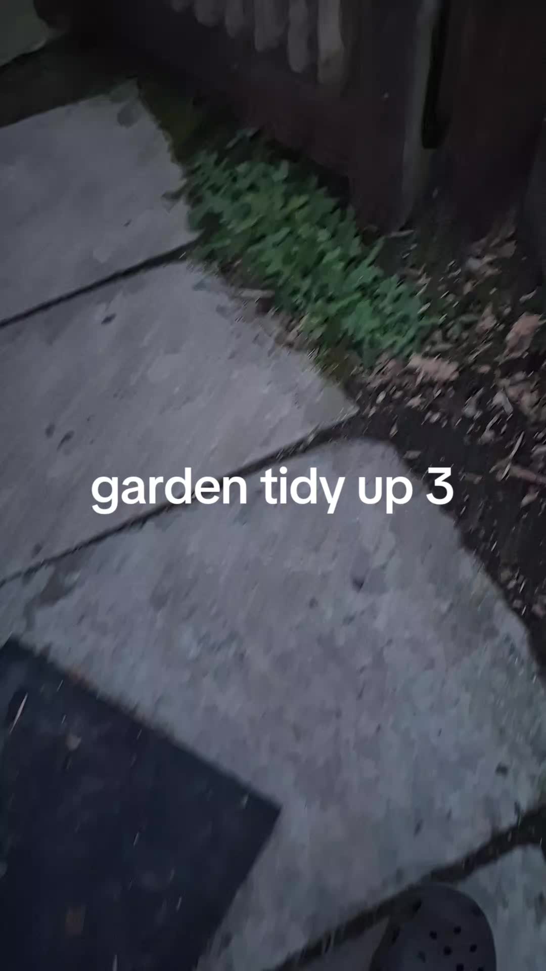 @wkd42