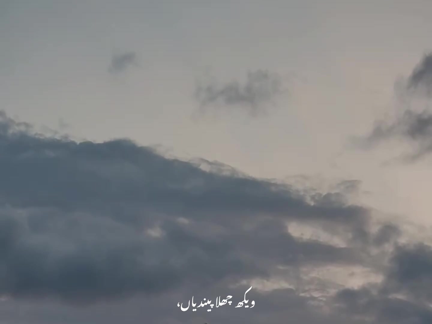 @ʟᴏꜰɪ ᴅʀᴇᴀᴍꜱ