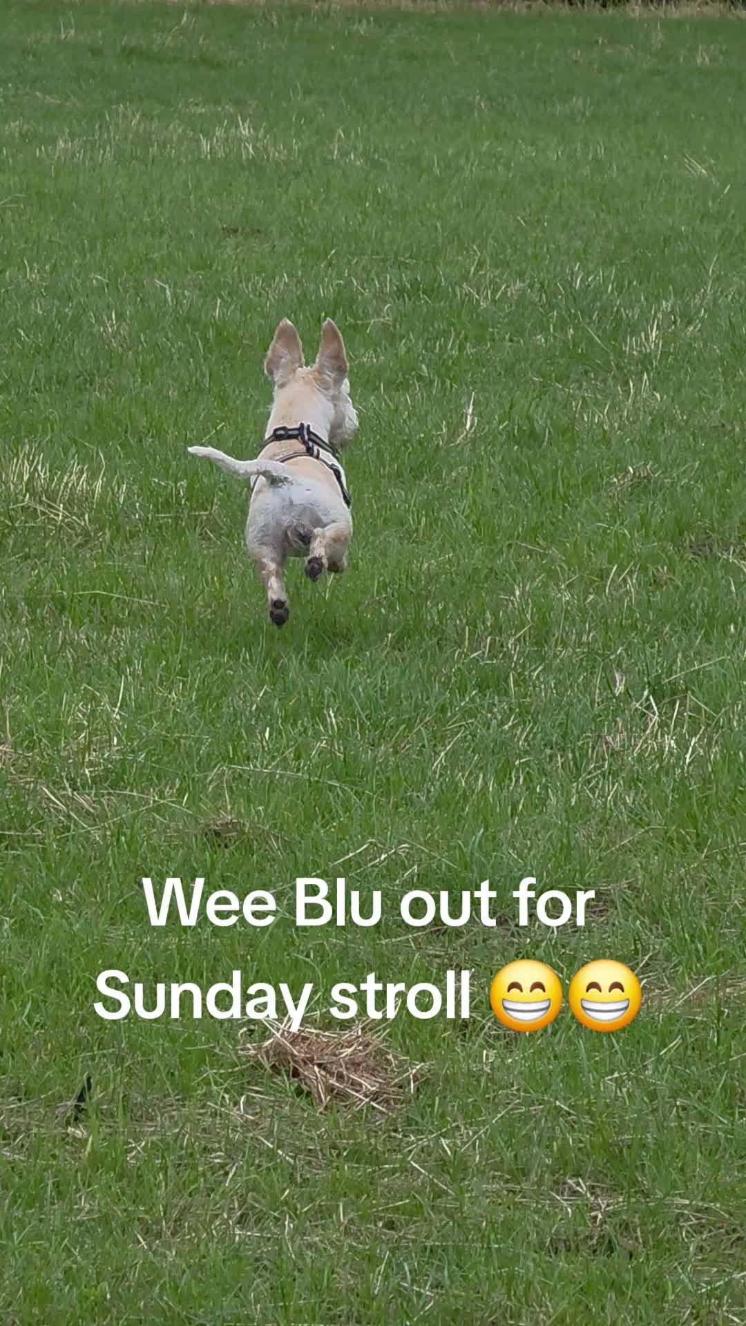 @Seamie 11 11