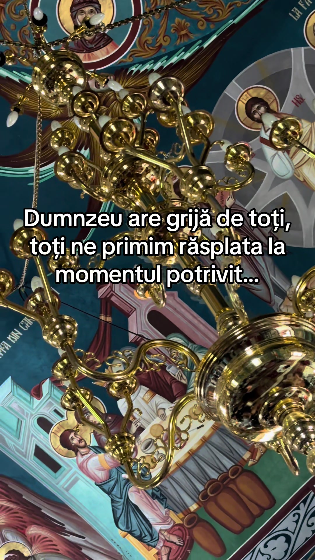 @👑 𝓓𝓐𝓝𝓘 👑
