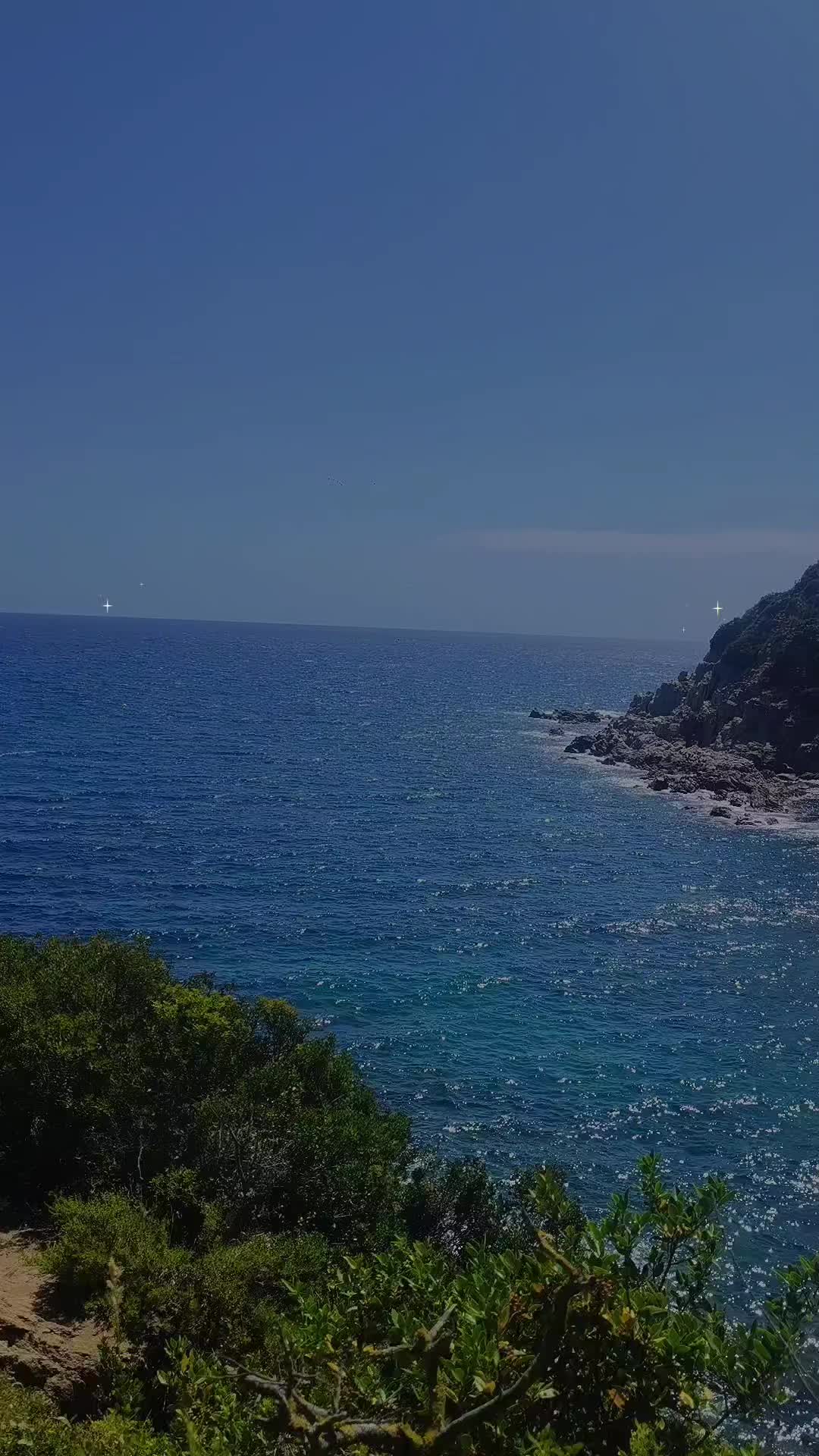 @1canaria_porelmundo