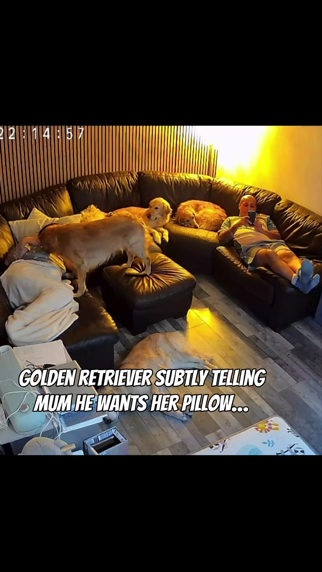 @5 Shades of Golden