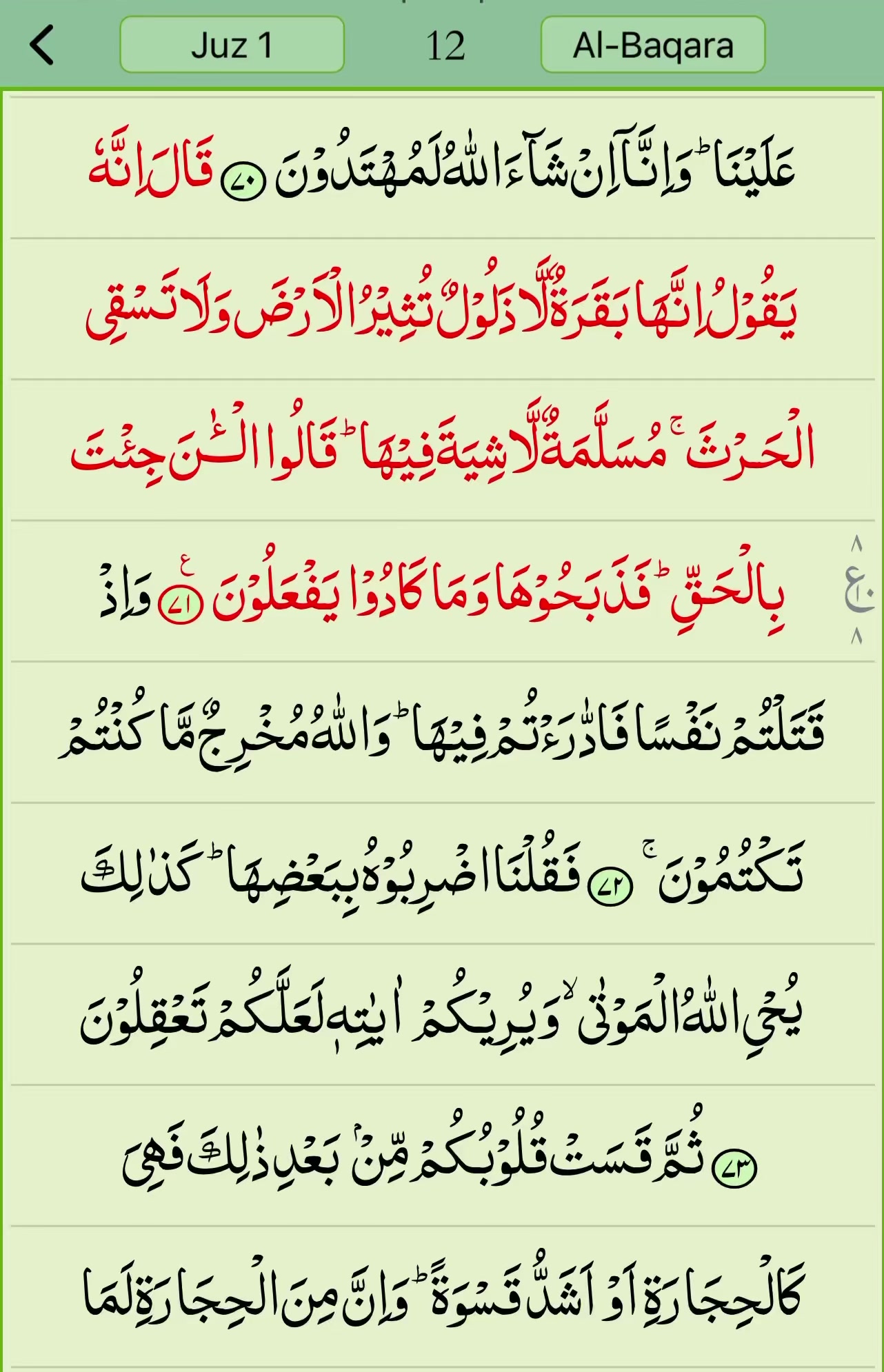 @Khadija