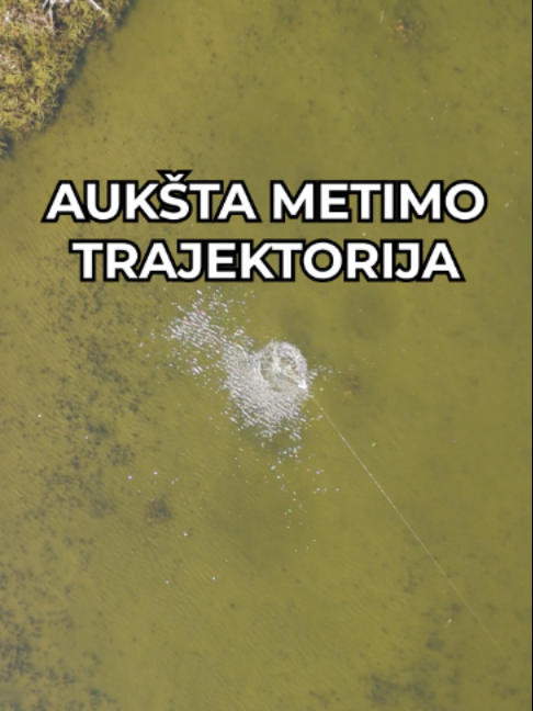 @zvejybosreikmenys.lt