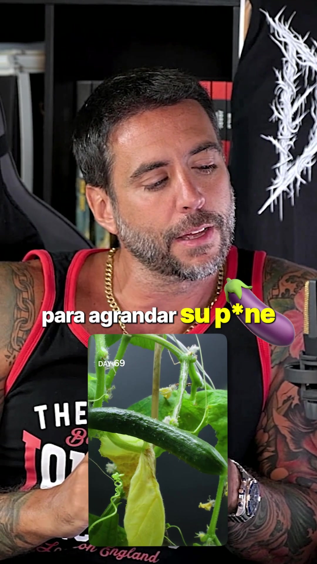 @Jordi Wild