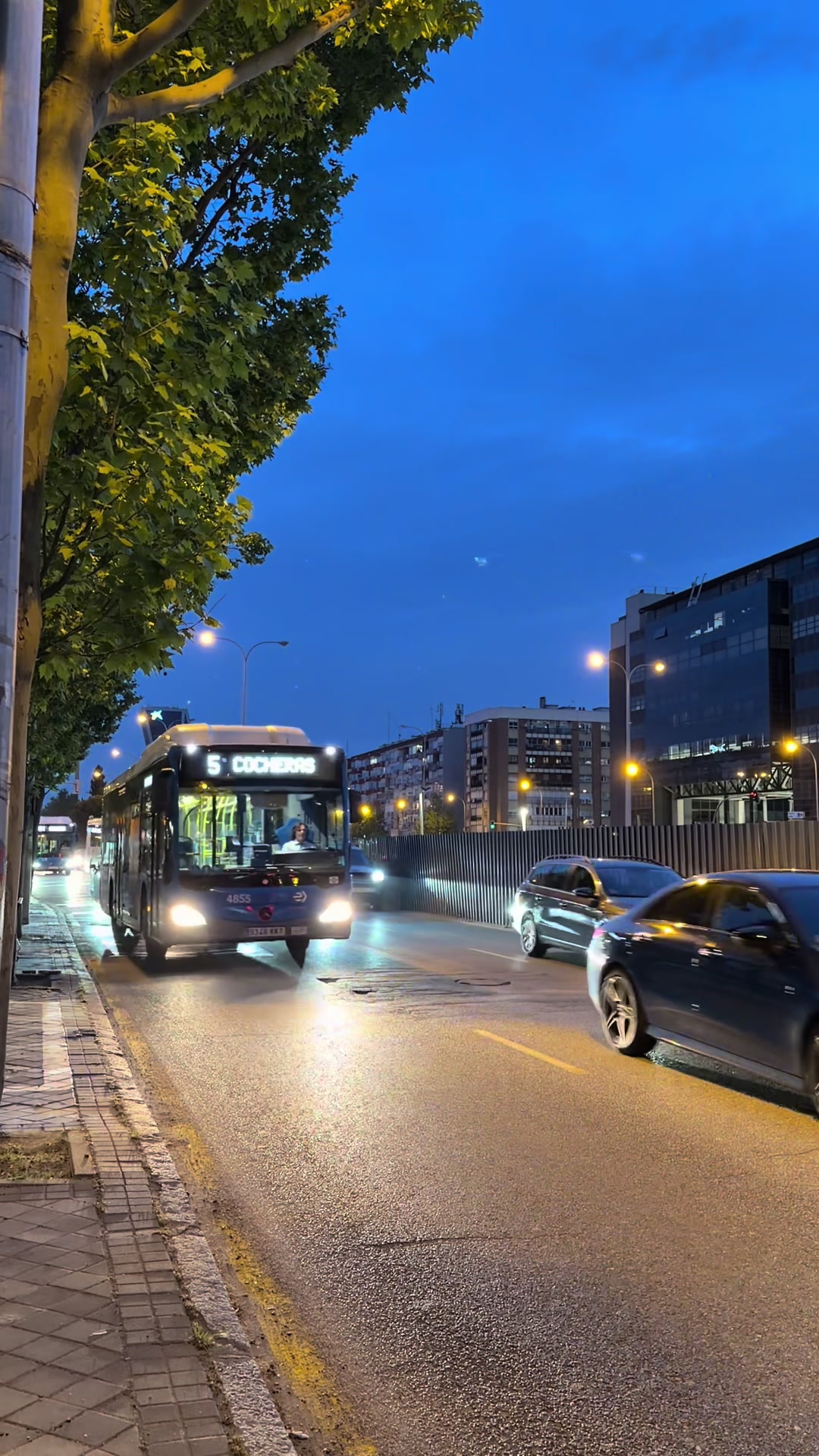 @BUSES MADRID 🚎💙💚