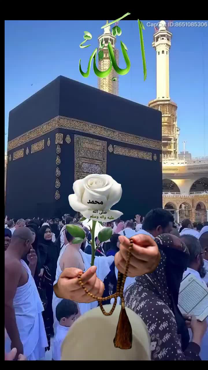 @🍃🌹🍃Merry🍃🌹🍃