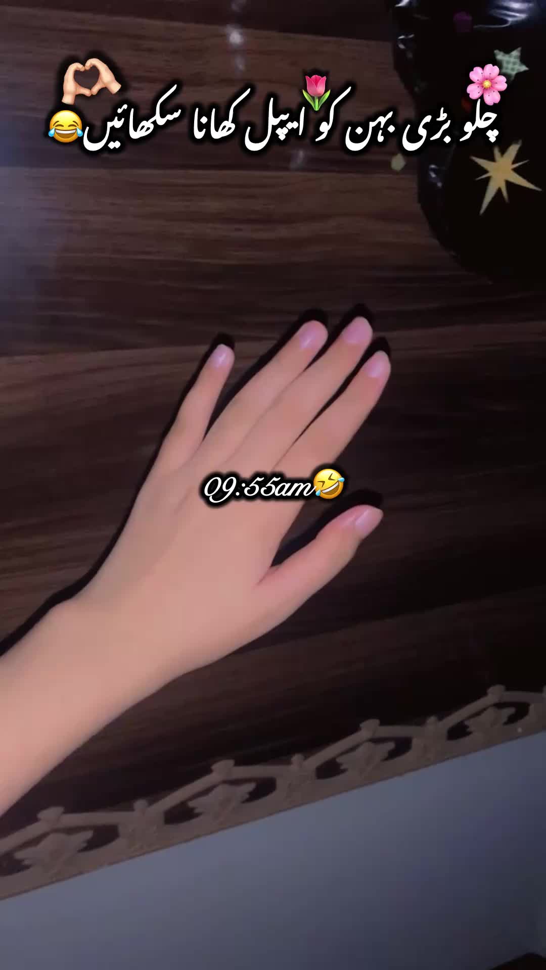@🌚🐍