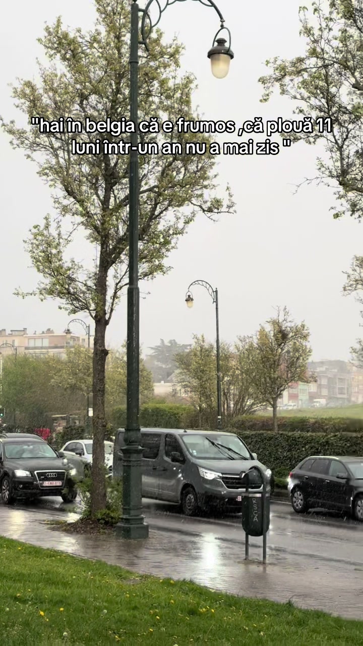 @🇷🇴𝐂𝐨𝐝𝐫𝐮𝐭𝐚🇧🇪