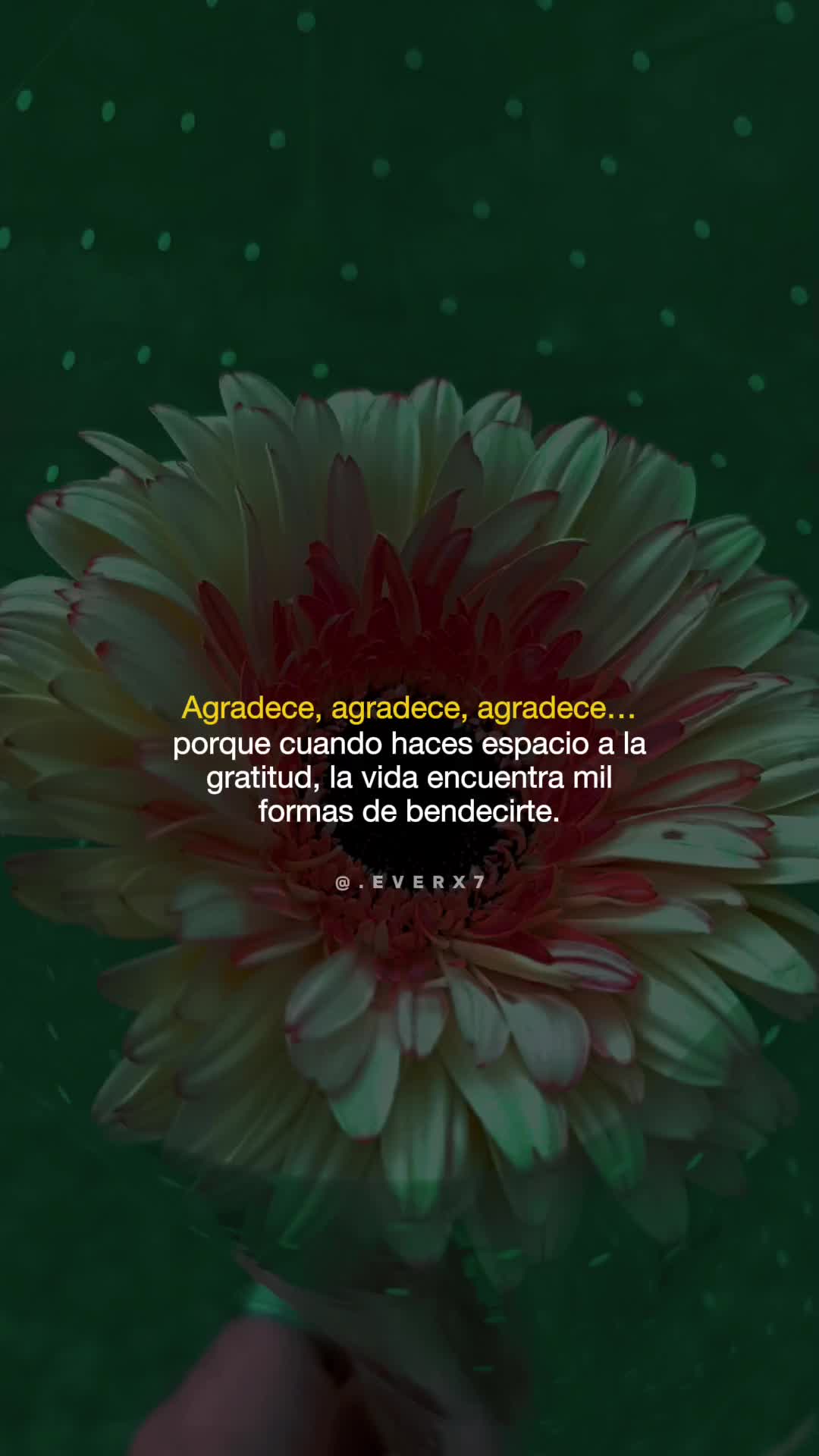 @María Jesús