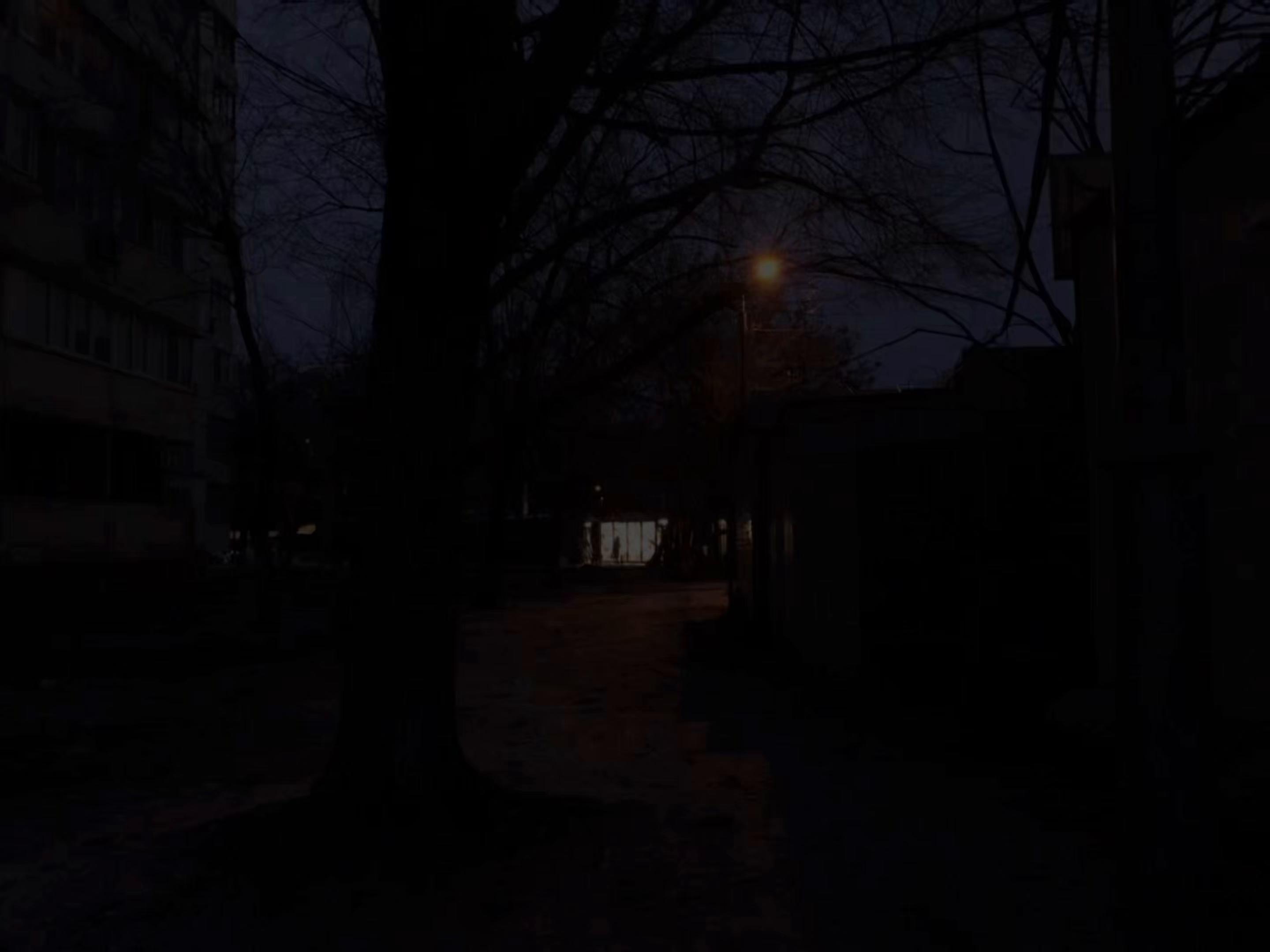 @musicfuz